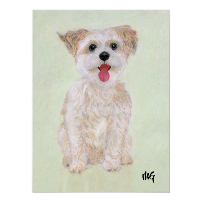 Pôster Cartaz de Morkie com Texto (Frente)