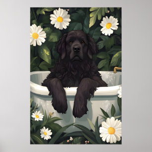 Poster Cartaz de Newfoundland na Banheira, Cartaz Diverti