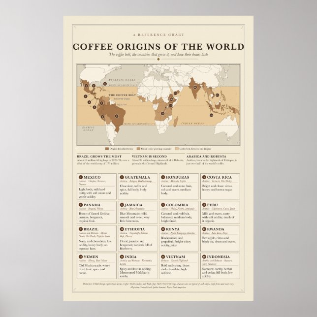 Poster Cartaz de Origens do Café (Frente)