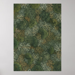 Poster Cartaz de padrão botânico de líquen verde floresta