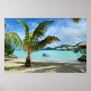 Pôster Cartaz de palmeira e resort sobre as águas