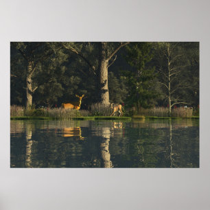 Poster Cartaz de papel 30" x 24" com imagem "Sobressaltad