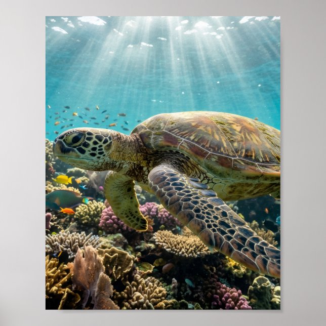 Poster Cartaz de Parede Sem Brilho de Tartaruga Marinha R (Frente)