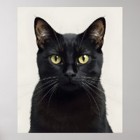 Cartaz de Perfil de Gato Preto