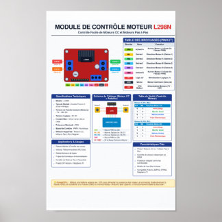 Poster Cartaz de Pinagem do Driver de Motor L298N A3