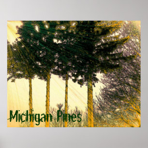 Pôster Cartaz de Pinheiros de Michigan