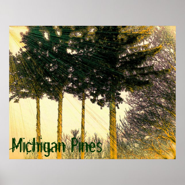 Pôster Cartaz de Pinheiros de Michigan (Frente)
