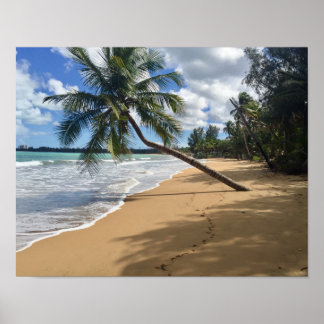 Poster cartaz de praia