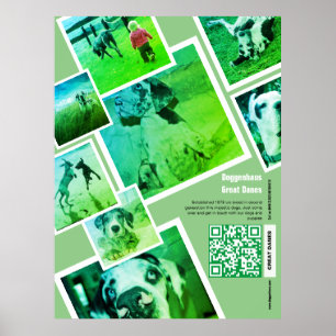 Poster Cartaz de Promoção de Canil de Great Dane Enorme