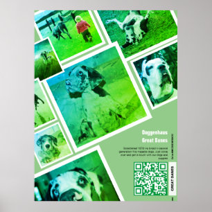 Poster Cartaz de Promoção de Canil de Great Dane Enorme