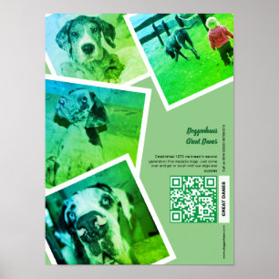 Poster Cartaz de Promoção de Canis do Grande Danês