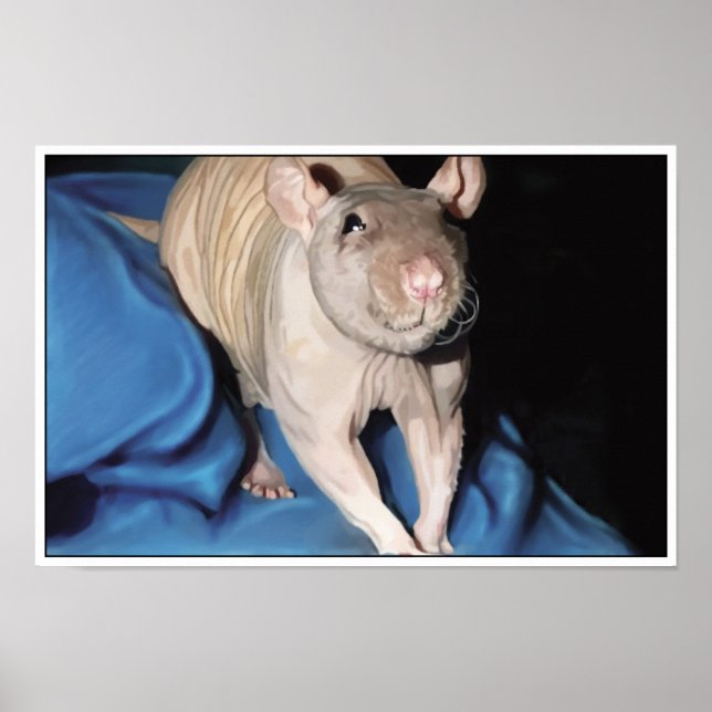Poster Cartaz de Rato Sem Pelos (Frente)