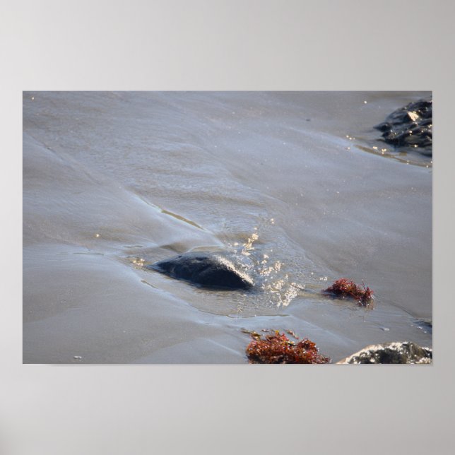 Poster Cartaz de Rochas no Oceano (Frente)