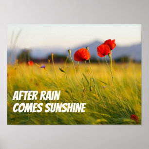 Poster Cartaz de sabedoria com o ditado após a chuva vem