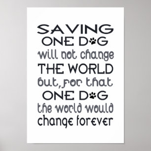 Poster Cartaz de Salvando um Cão