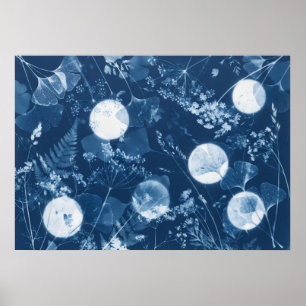 Poster Cartaz de samambaia Ginkgo Flor Silvestre Cianotip