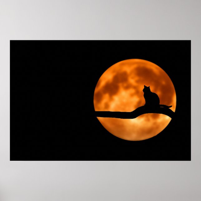 Poster Cartaz de Silhueta de Gato ao Luar (Frente)