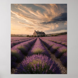 Poster Cartaz de Sonhos de Lavanda da Provença