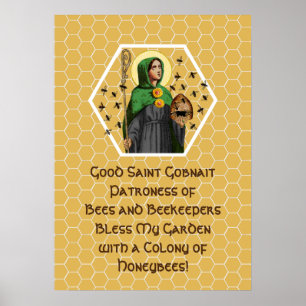 Poster Cartaz de Sta. Gobnait de Ballyvourney (SAE 003)