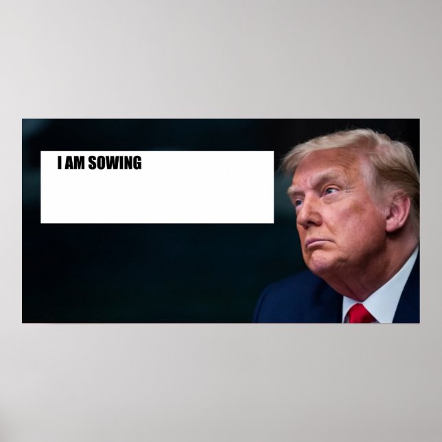 Poster Cartaz de Trump (Frente)