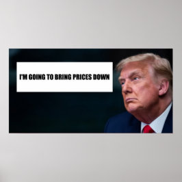 Poster Cartaz de Trump