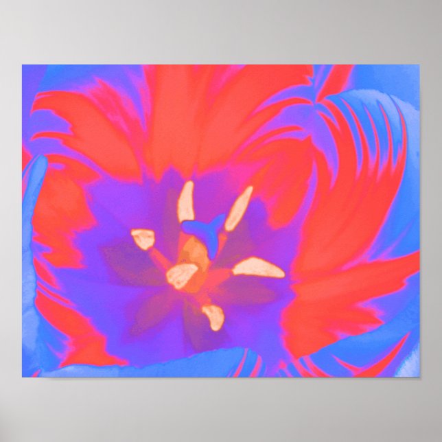 Pôster Cartaz de Tulipa Fluorescente (Frente)