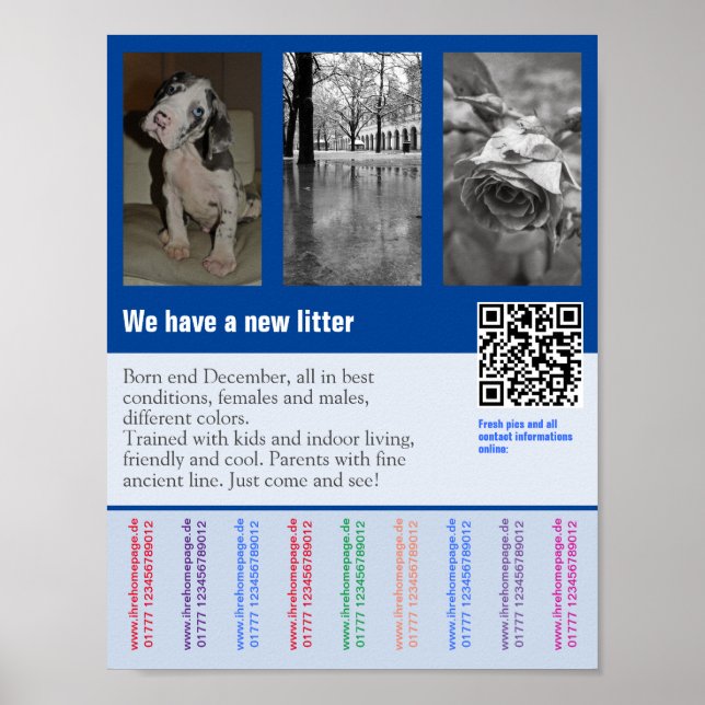 Poster Cartaz de venda de cachorro com código QR (Frente)