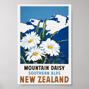 Poster Cartaz de Viagem Antigo Restaurado da Nova Zelândi