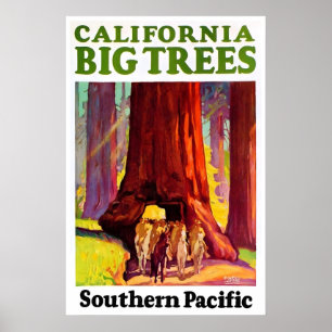 Poster Cartaz de Viagem da Califórnia Redwoods Arte Sul