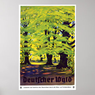 Poster Cartaz de Viagem da Floresta Alemã Antiga Deutsche