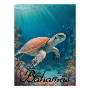 Pôster Cartaz de Viagem da Tartaruga Marinha das Bahamas