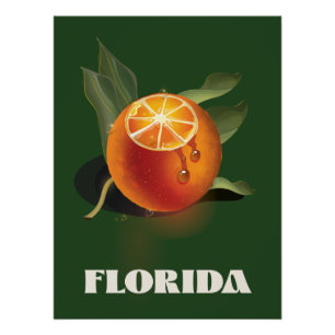 Pôster cartaz de viagem Florida Orange