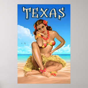 Poster Cartaz de Viagem Texas Lone Star Águia Marinha Ang