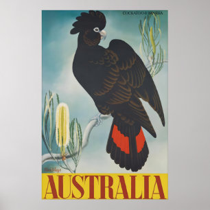 Poster Cartaz de Viagem Vintage Austrália Cacatua Preta