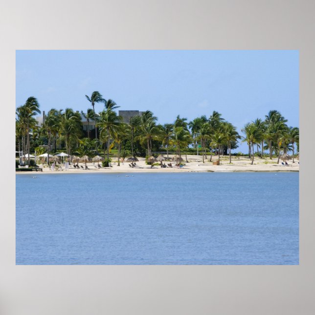 Poster Cartaz de vista tropical (Frente)