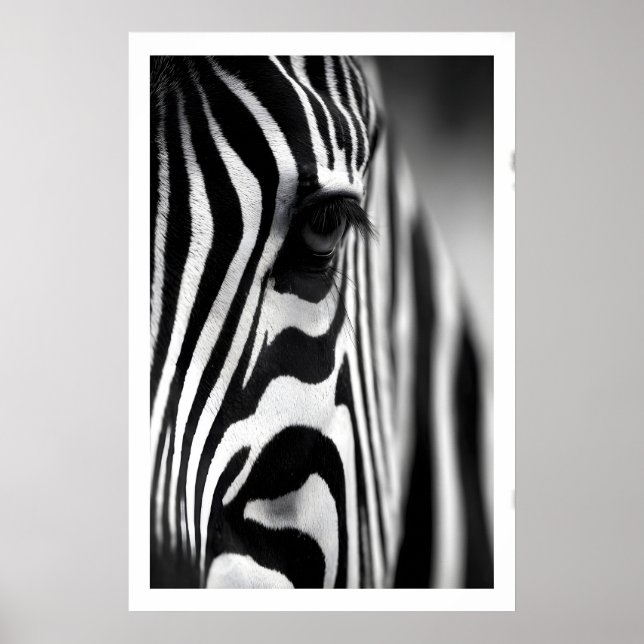 Poster Cartaz de Zebra da Vida Selvagem, Listras Monocrom (Frente)