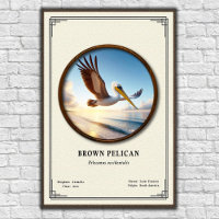 Cartaz de Zoologia do Pelicano-Marrom