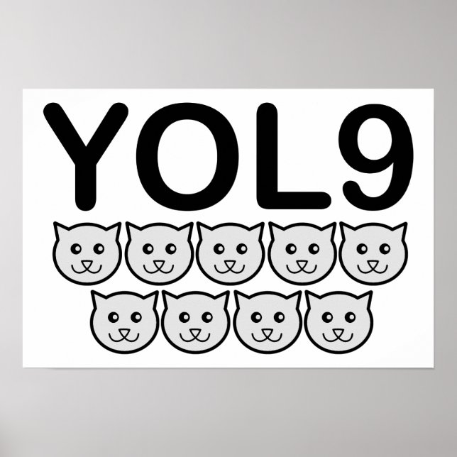 Poster Cartaz Divertido YOL9 (Frente)