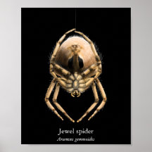 Cartaz do Aranha Jóia (Semi-Brilho)
