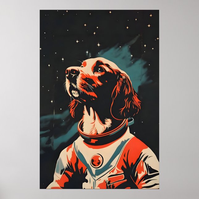 Poster Cartaz do Astronauta Boykin Spaniel, Boykin Spanie (Frente)