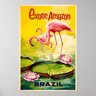 Poster cartaz do Brasil