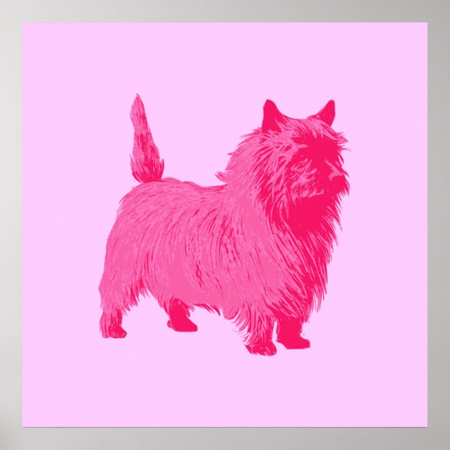 Pôster Cartaz do Cairn Terrier Rosa (Frente)