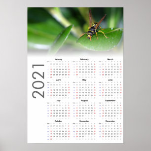 Poster Cartaz do Calendário da Vespa 2021 - início no dom