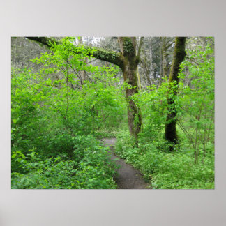 Poster Cartaz do Caminho da Natureza