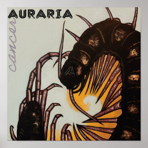 Poster Cartaz do Cancer de Auraria
