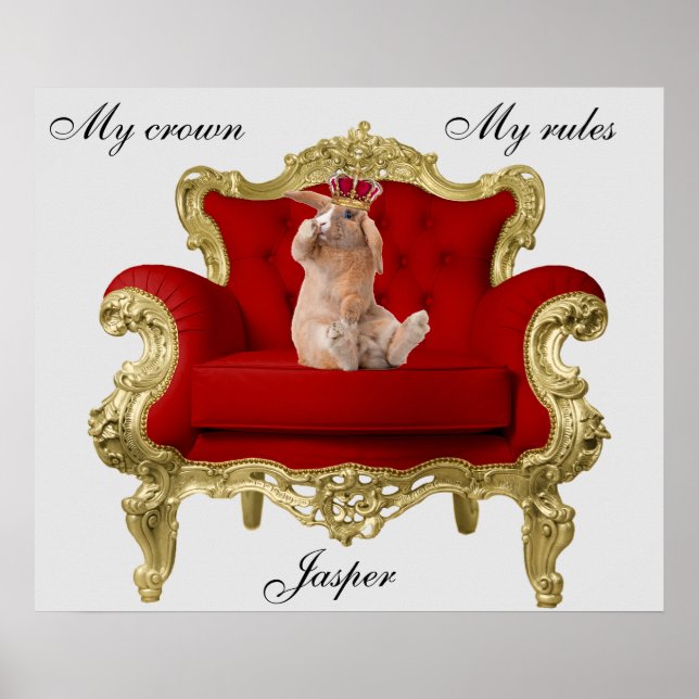 Poster Cartaz do Coelho Real (Frente)
