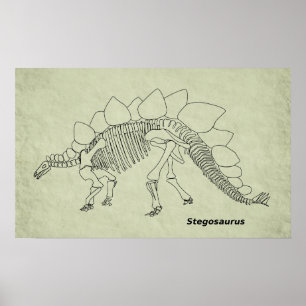 Poster Cartaz do Esqueleto de Stegosaurus