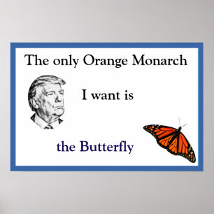 Poster Cartaz do Monarca Laranja