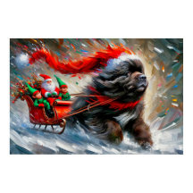 Cartaz do Newfie Puxando o Trenó do Papai Noel