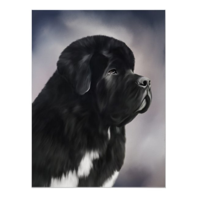 Pôster Cartaz do Notta Bear Landseer Newfoundland (Frente)